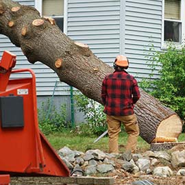 Storm Damage 